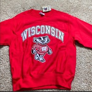 Champion Badger Sweatshirt
